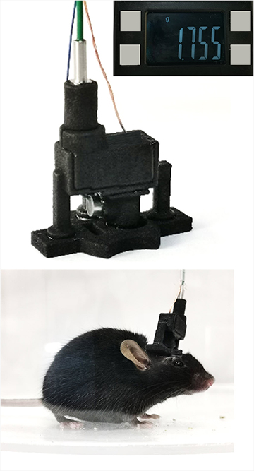 Image of microscope unit and of mouse wearing it